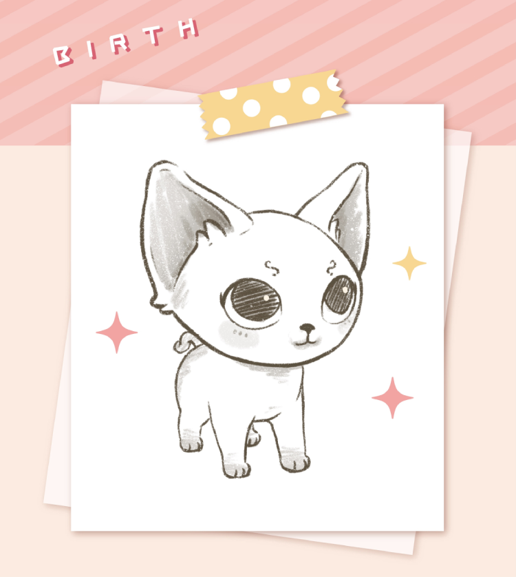 Chao Play New Favourite "German Cat Linlin" o(= • Sa • =)m 2