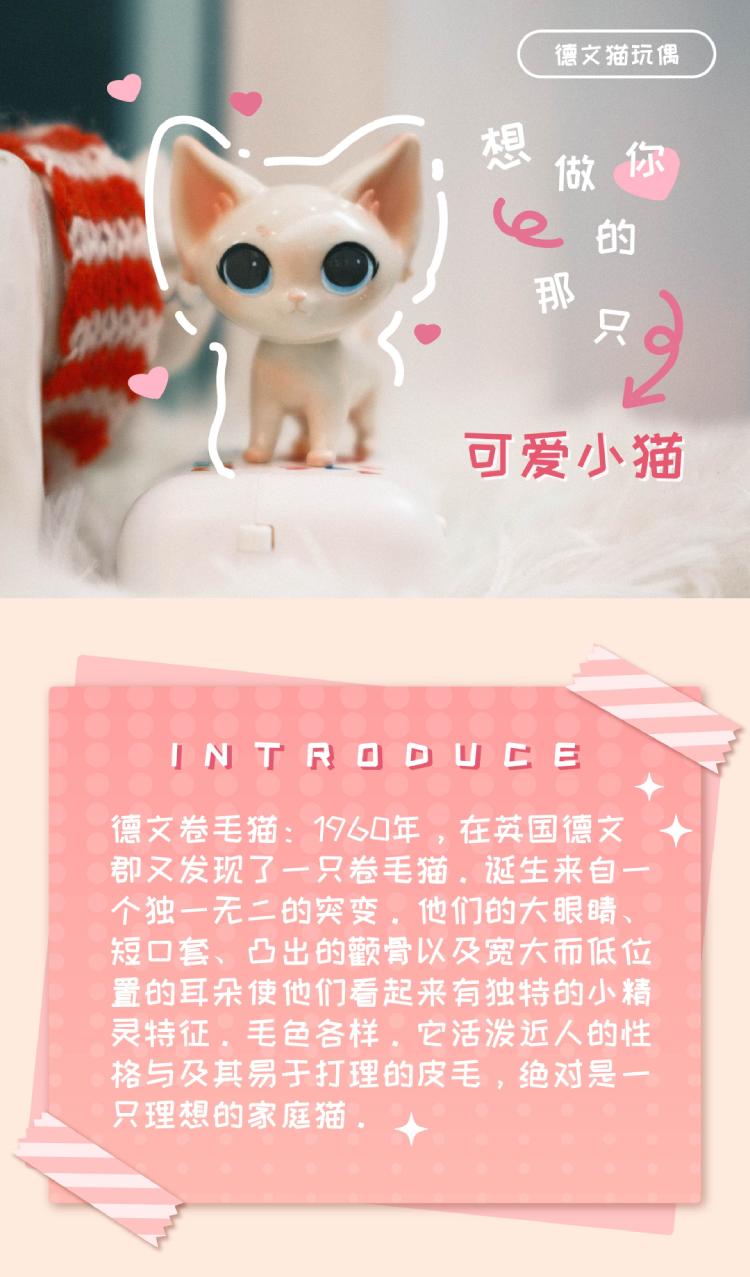 Chao Play New Favourite "German Cat Linlin" o(= • Sa • =)m 1